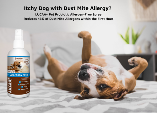 Probiotic Allergy Spray - 300ml