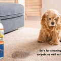 Probiotic Floor & Carpet Cleaner - 1l of concentrate