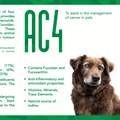 AC4 | Contains ingredients that may assist in the fight against cancer