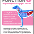 BioFunction8 | Gut Soother Blend