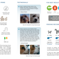 Oculus Prime | For Weepy Eyes & Tear Staining in Dogs