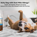 Spray probiotique contre les allergies - 300 ml