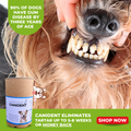 Canident | Goodbye tartar and smelly dog breath, naturally…