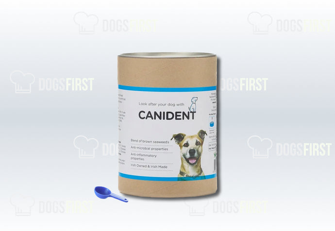 Canident | Look After Your Pet's Oral Hygeine…
