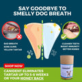 Canident | Goodbye tartar and smelly dog breath, naturally…