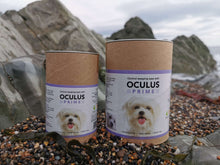 Oculus Prime | Gegen weinende Augen und Tränenflecken bei Hunden