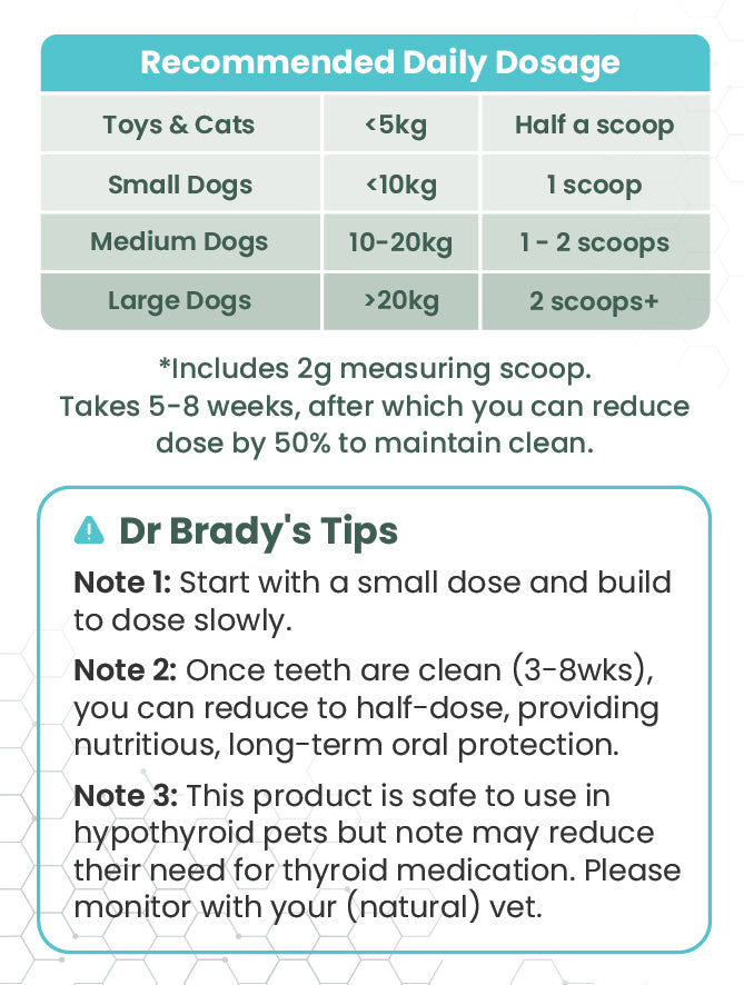 Dr Brady's Dental Pro Clean - The natural way to clean teeth