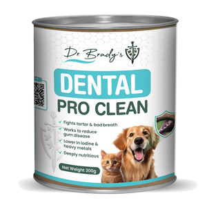 Dr Brady's Dental Pro Clean - The natural way to clean teeth