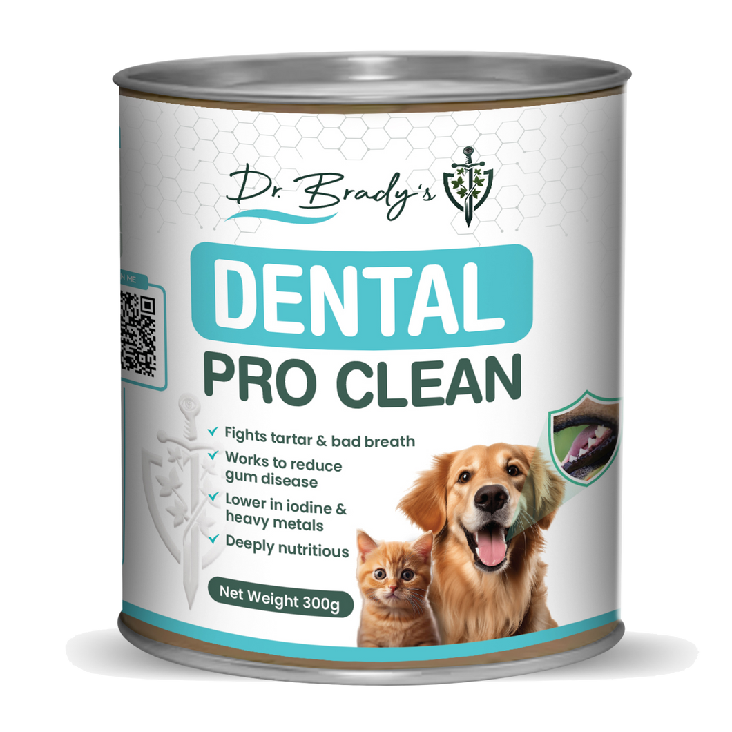 Dr Brady's Dental Pro Clean - The natural way to clean teeth