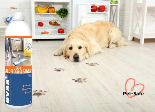 Nettoyant probiotique pour sols et tapis - 1l de concentré