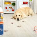 Nettoyant probiotique pour sols et tapis - 1l de concentré