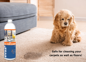 Probiotic Floor & Carpet Cleaner - 1l of concentrate