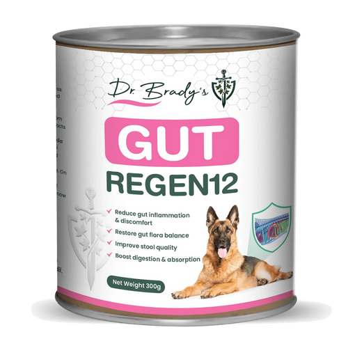 Dr Brady's Gut Regen12 - For chronic gut issues in dogs