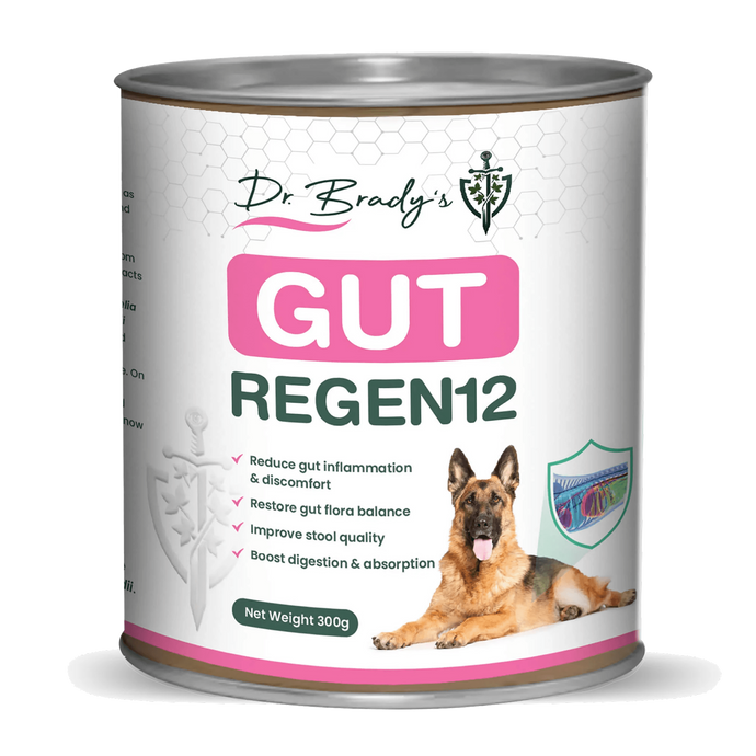 Dr Brady's Gut Regen12 - For chronic gut issues in dogs