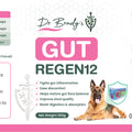 Dr Brady's Gut Regen12 - For chronic gut issues in dogs