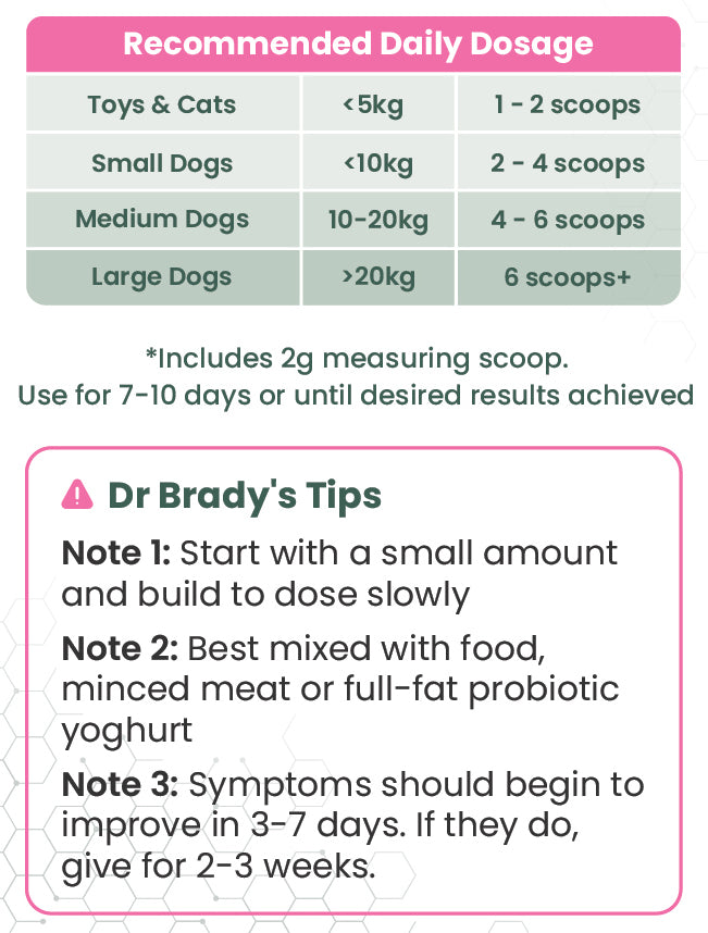 Dr Brady's Gut Regen12 - For chronic gut issues in dogs