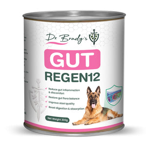 Dr Brady's Gut Regen12 - For chronic gut issues in dogs