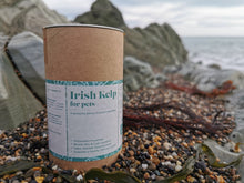 Nachhaltig geernteter irischer Seetang für Hunde
