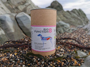BioFunction8 | Gut Soother Blend
