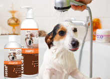Probiotic Pet Shampoo