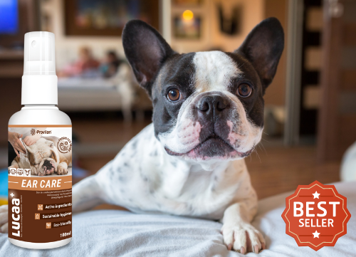 Probiotische Ohrenpflege für Hunde und Katzen – 100 ml