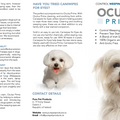 Oculus Prime | Gegen weinende Augen und Tränenflecken bei Hunden