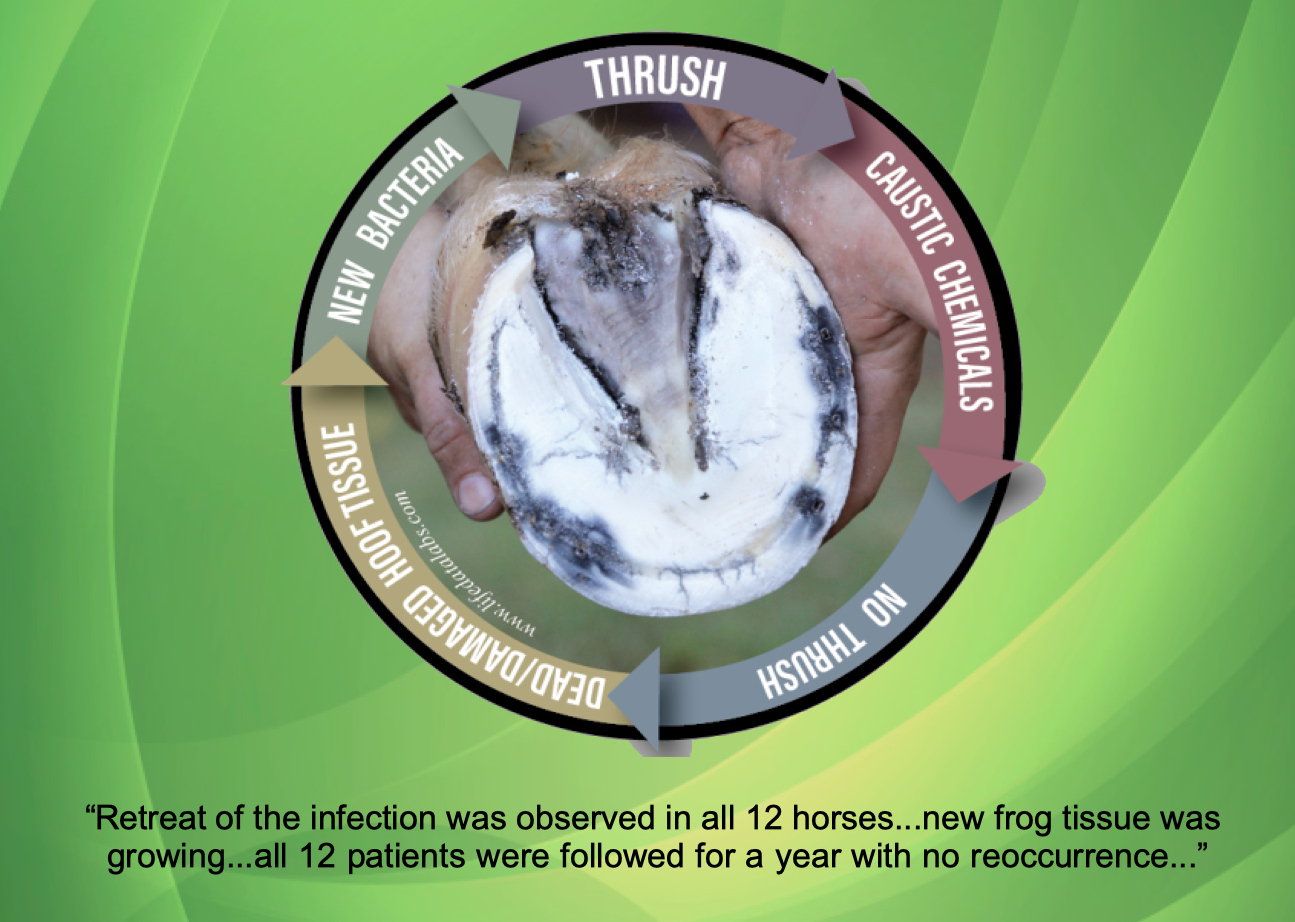 Propythium Effervescent Tablets - Natural Yeast Killer