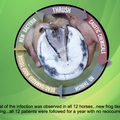Propythium Effervescent Tablets - Natural Yeast Killer