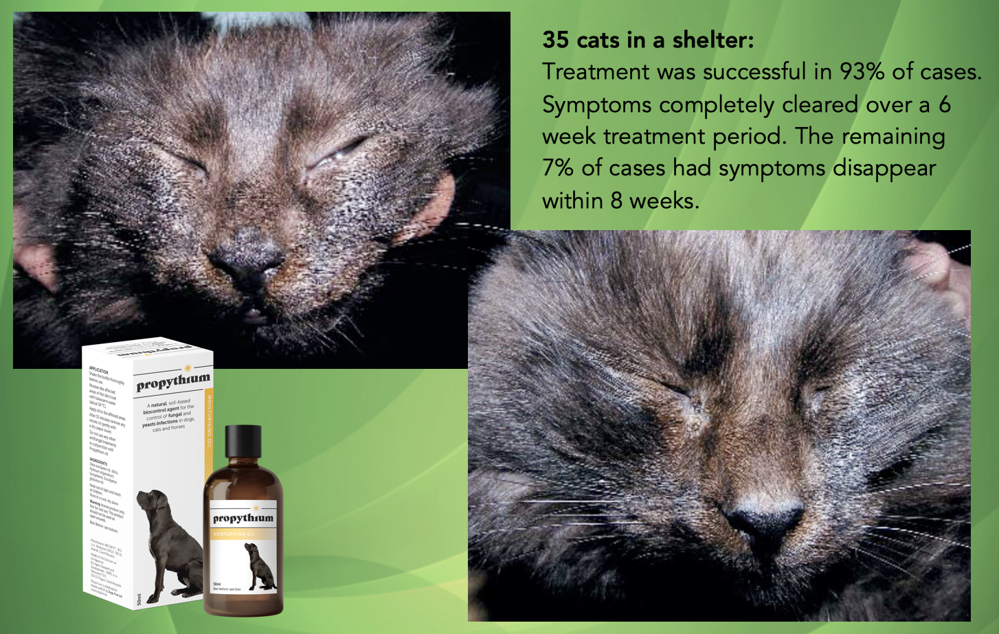 Propythium Effervescent Tablets - Natural Yeast Killer