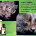 Propythium Effervescent Tablets - Natural Yeast Killer