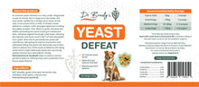 Dr Brady's Yeast Defeat - For internal yeast issues in dogs