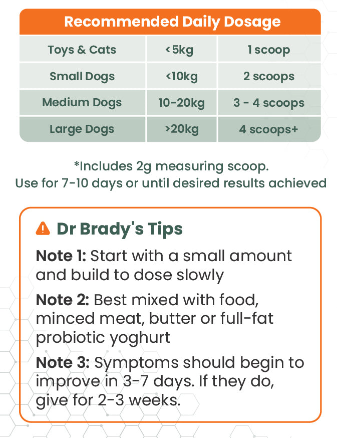Dr Brady's Yeast Defeat - For internal yeast issues in dogs