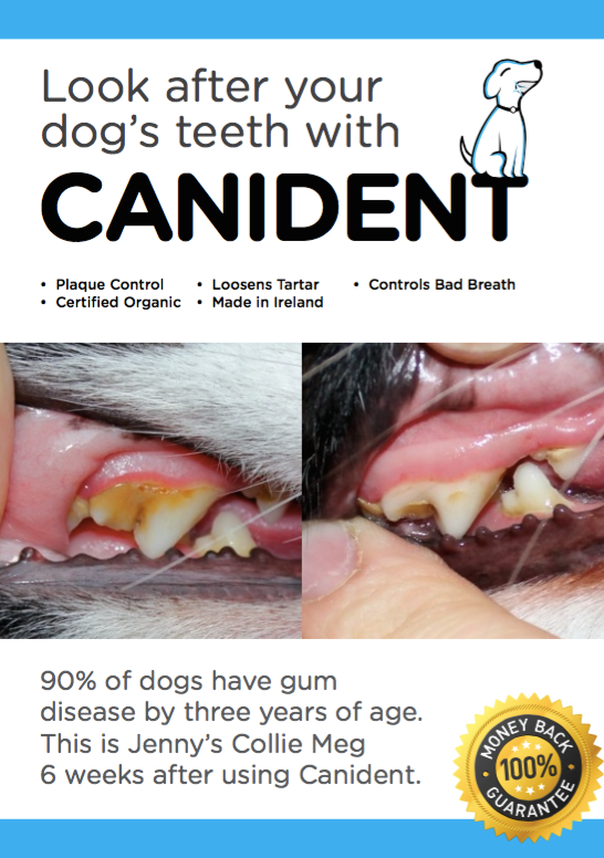 Canident | Goodbye tartar and smelly dog breath, naturally…