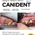 Canident | Goodbye tartar and smelly dog breath, naturally…
