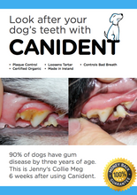 Canident | Look After Your Pet's Oral Hygeine…